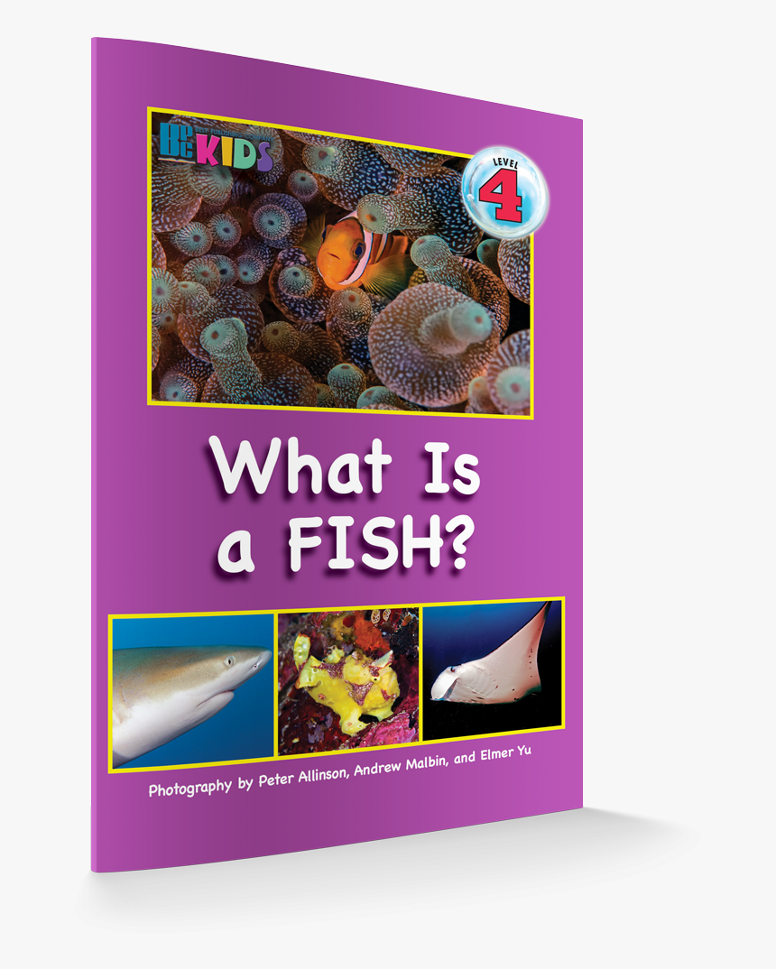 What Is A Fish Revisesd Edition 3d Cover - Fish, HD Png Download