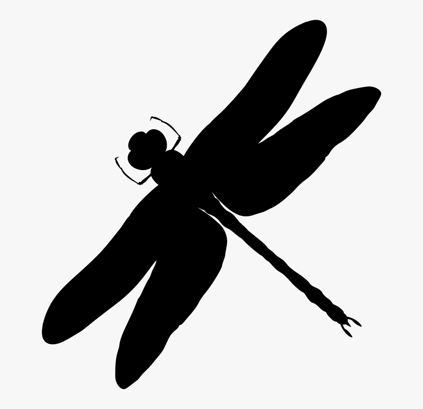 Intricate Dragonfly Silhouette - Black And White Dragonfly Silhouettes, HD Png Download