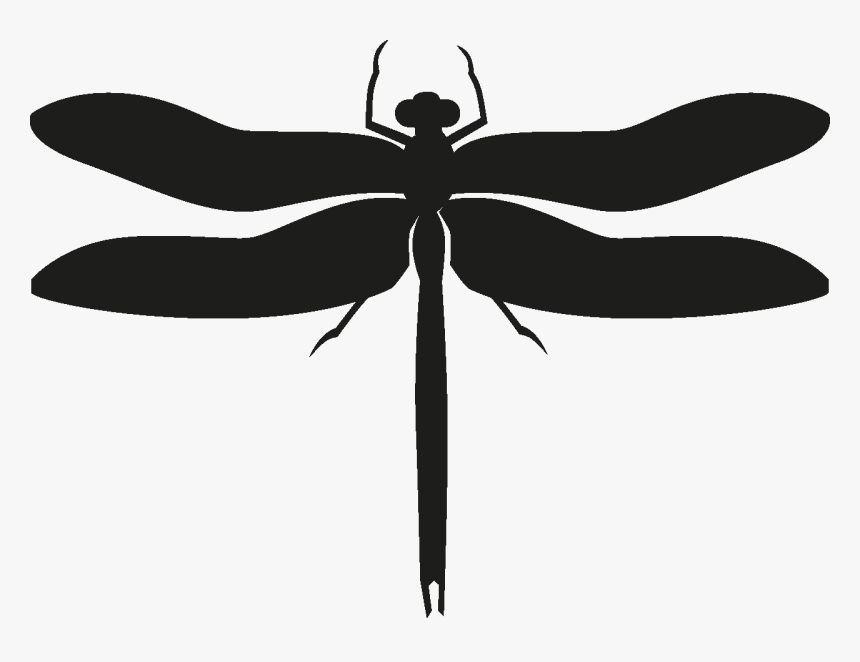 Insects Set [silhouette] Png - Dragonfly, Transparent Png