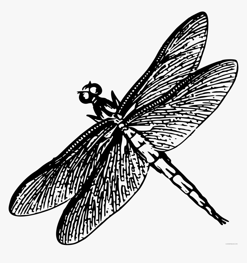 Transparent Dragonfly Silhouette Png - Drawing Of Dragonfly Black And White, Png Download