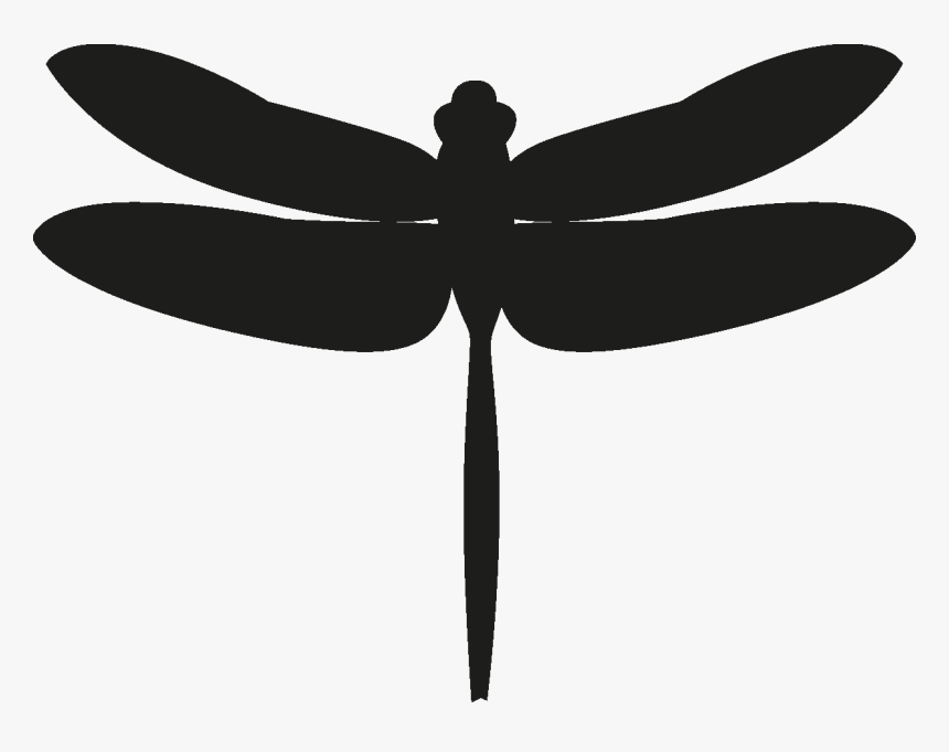 Insects Set [silhouette] Png - Dragonfly, Transparent Png