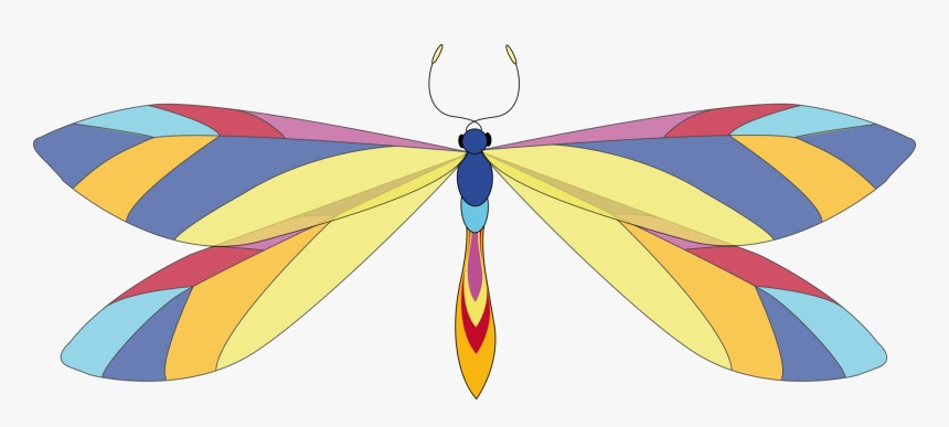 Free Clip Art Dragonfly, HD Png Download