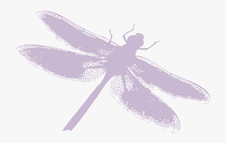 Dragonfly Silhouette Png Download - Dragonfly, Transparent Png