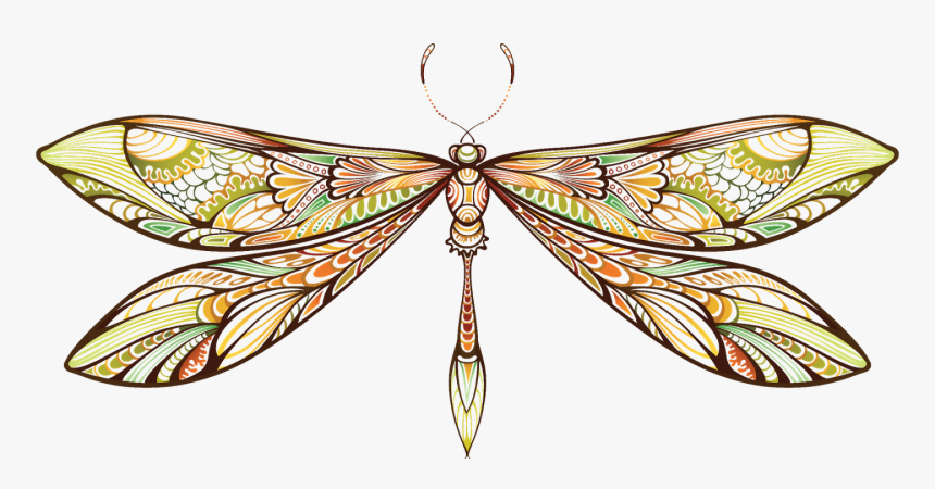 Clip Art Dragon Fly, HD Png Download