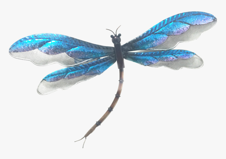 Dragonfly Silhouette Png, Transparent Png