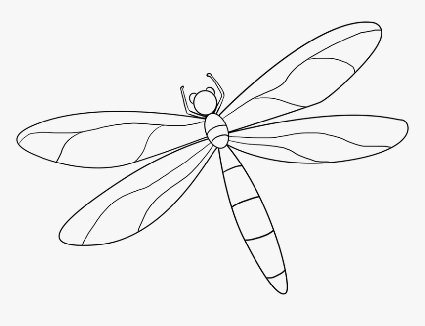 Picture Transparent Download Vector Dragonfly Watercolor - Dragonfly, HD Png Download