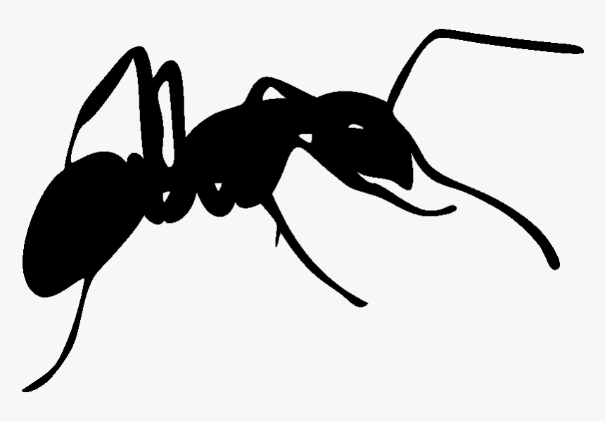 Ant Silhouette, HD Png Download