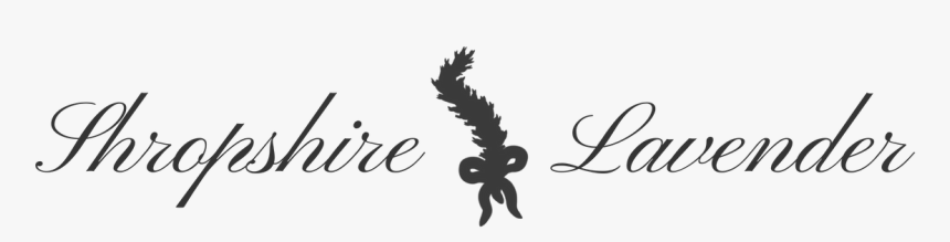 Lavender Sprig Between The Words Shropshire Lavender - Calligraphy, HD Png Download