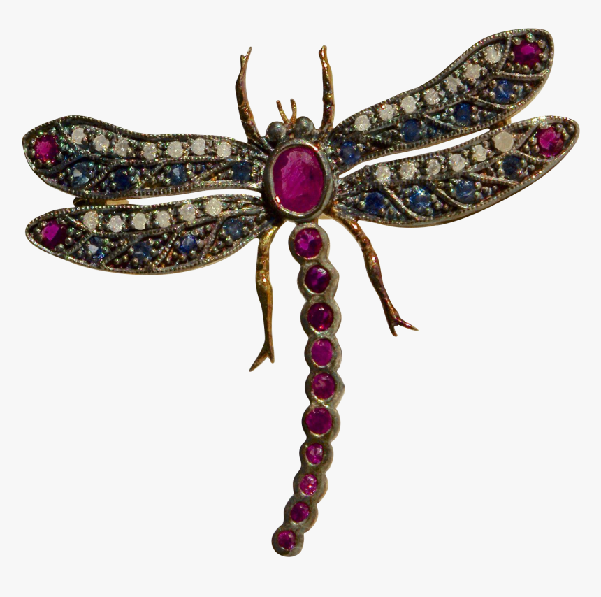 Dragonfly, HD Png Download