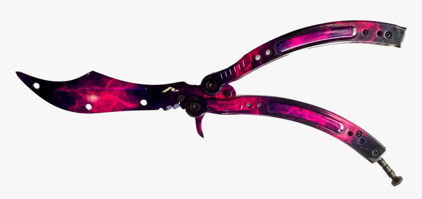 Insect, HD Png Download