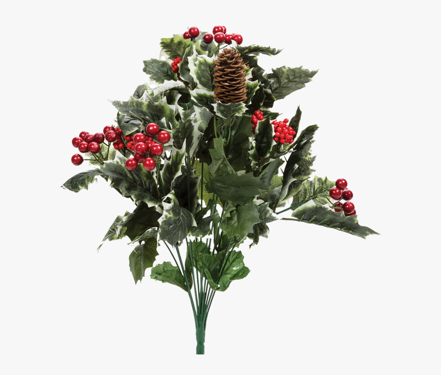 20 - Holly Berry Bush Png, Transparent Png