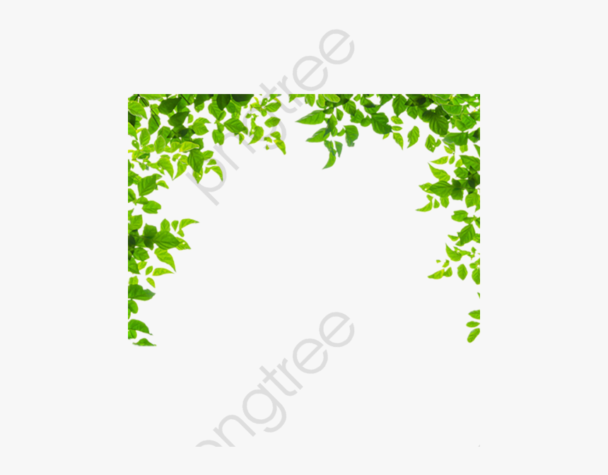 Leaves Border Nice Pretty - Transparent Background Leaf Border Transparent, HD Png Download