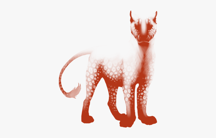 Cat Yawns, HD Png Download