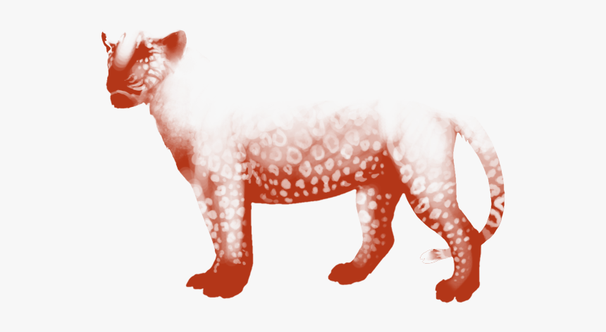 Cat, HD Png Download