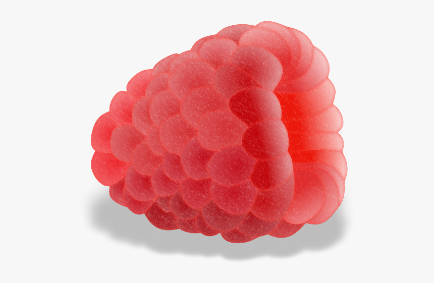 Yndvkxa - Raspberry, HD Png Download