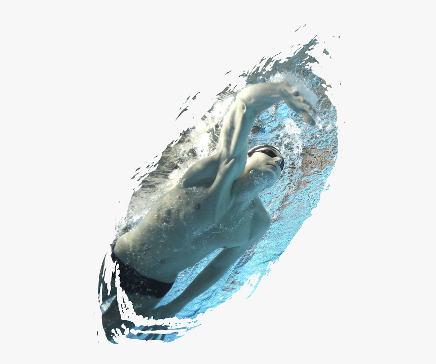 Whale, HD Png Download
