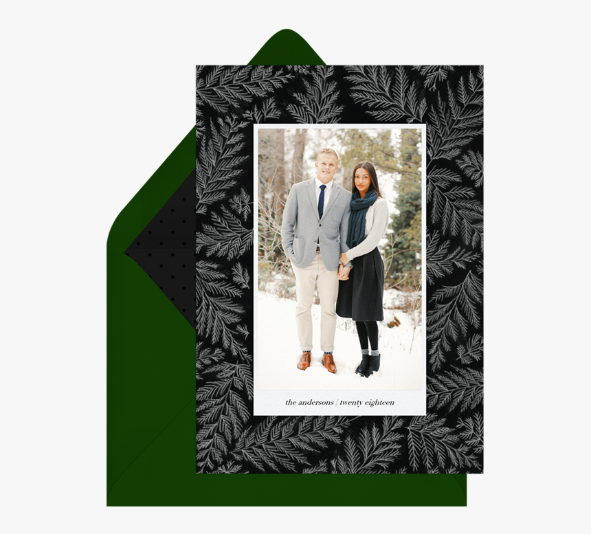 Transparent Pine Bough Png - Picture Frame, Png Download