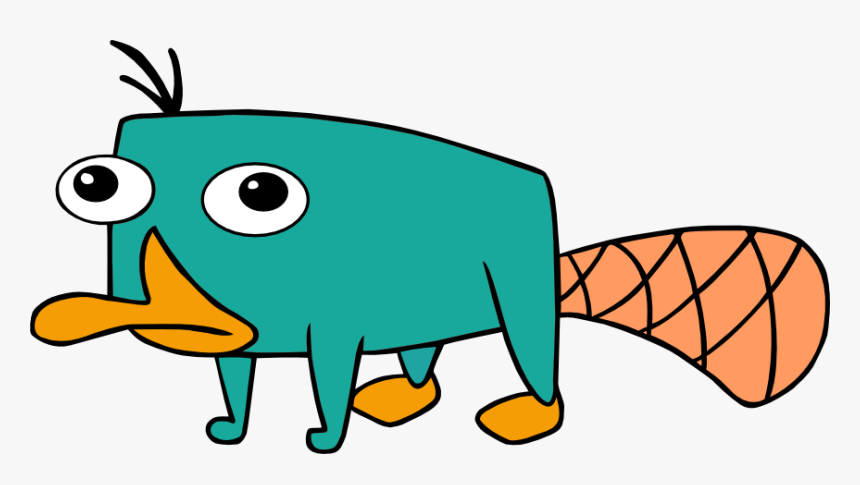 Discover Ideas About Pet Platypus, HD Png Download