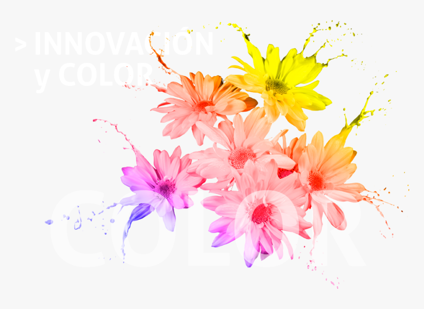 Pintura De Colores Png, Transparent Png