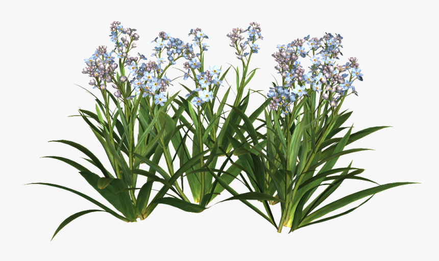 Transparent Mexican Flower Png - Transparent Flowers Garden Png, Png Download