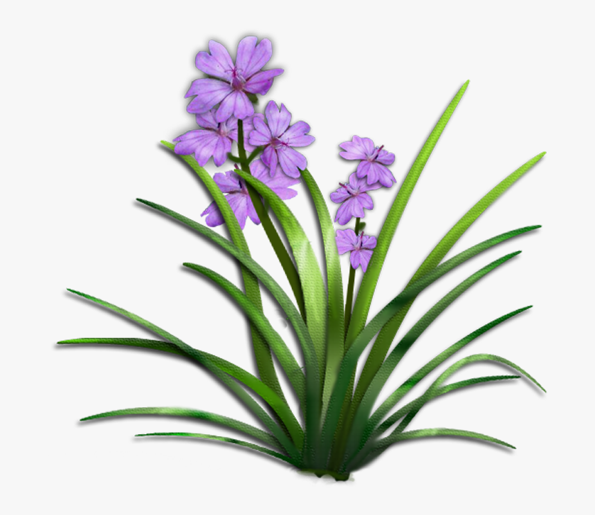 Transparent Garden Flowers Png - Plant With Flower Png, Png Download