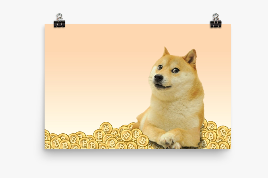 Shiba Inu, HD Png Download
