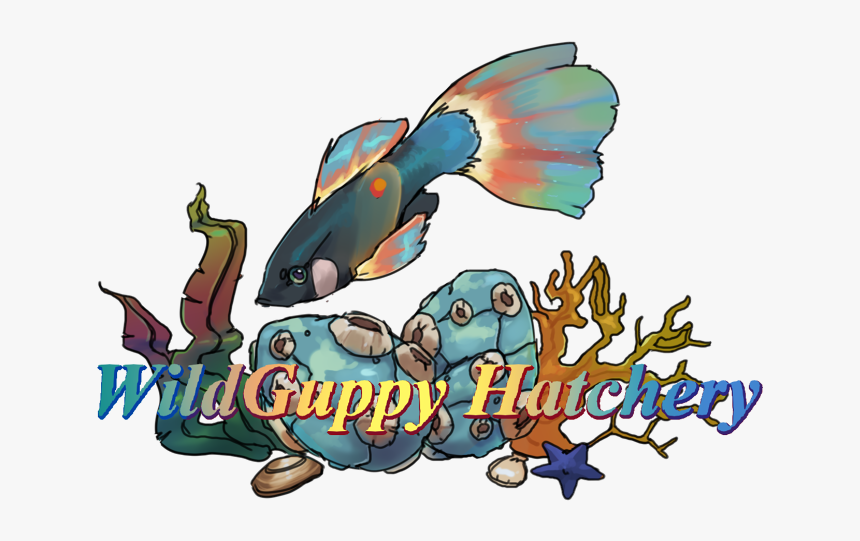 Dcylv4g F12c4ded D19a 475d Bc01 7d7864dac3c6, HD Png Download