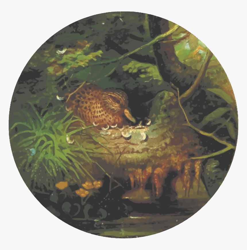 Transparent Inequalities Clipart - Drawing, HD Png Download