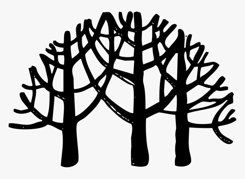 Point Drawing Forest - Icon Png Forest Icon, Transparent Png