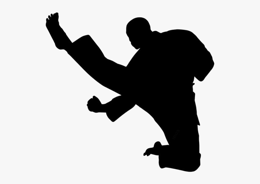 Transparent Taekwondo - Silhouette, HD Png Download