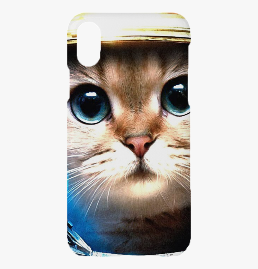 Chat Dans L Espace, HD Png Download