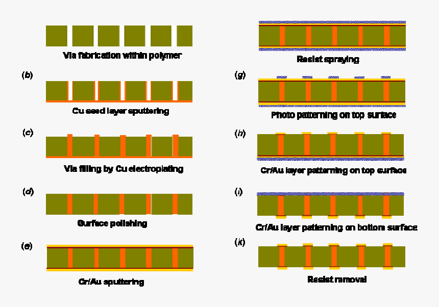 Orange, HD Png Download