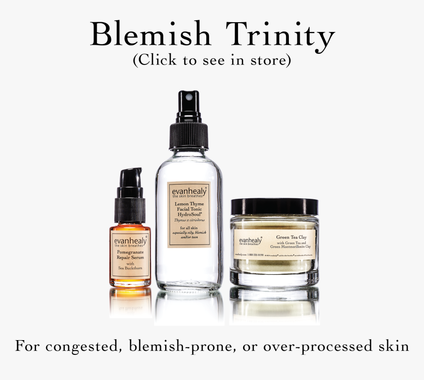 Evan Healy, HD Png Download