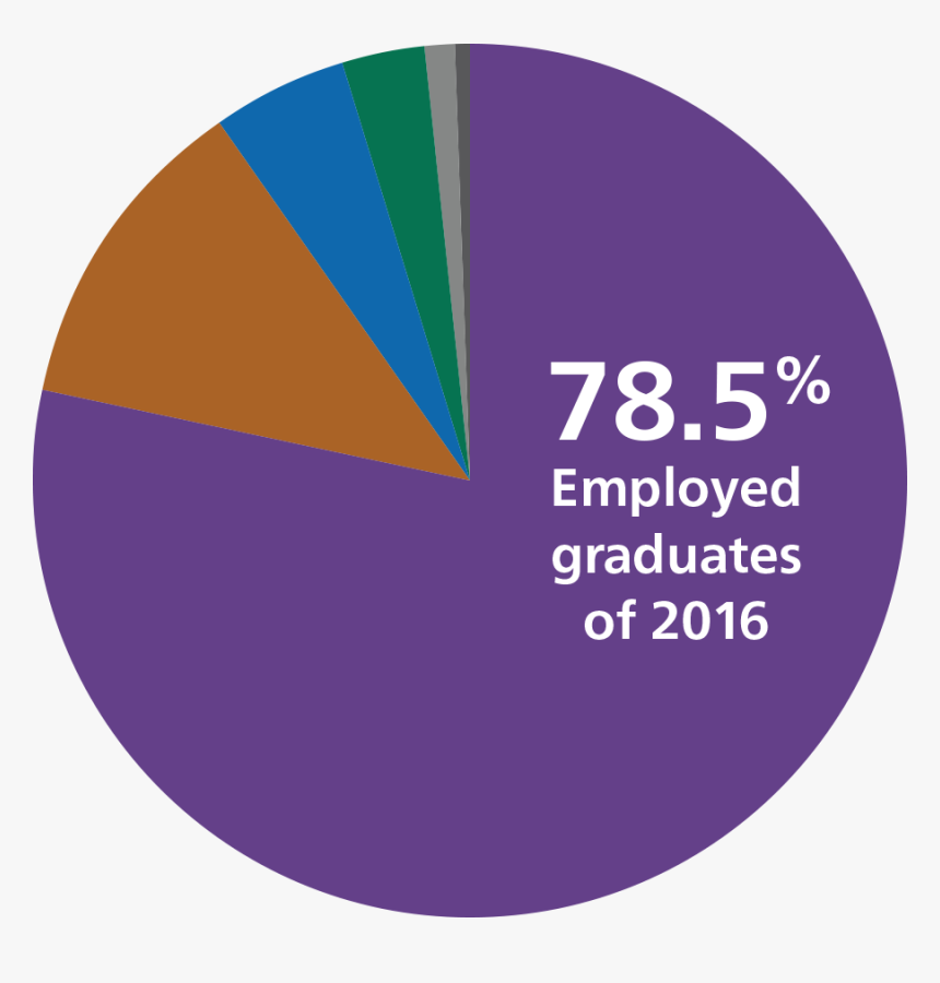 Career Chart - Doris Day 2010, HD Png Download