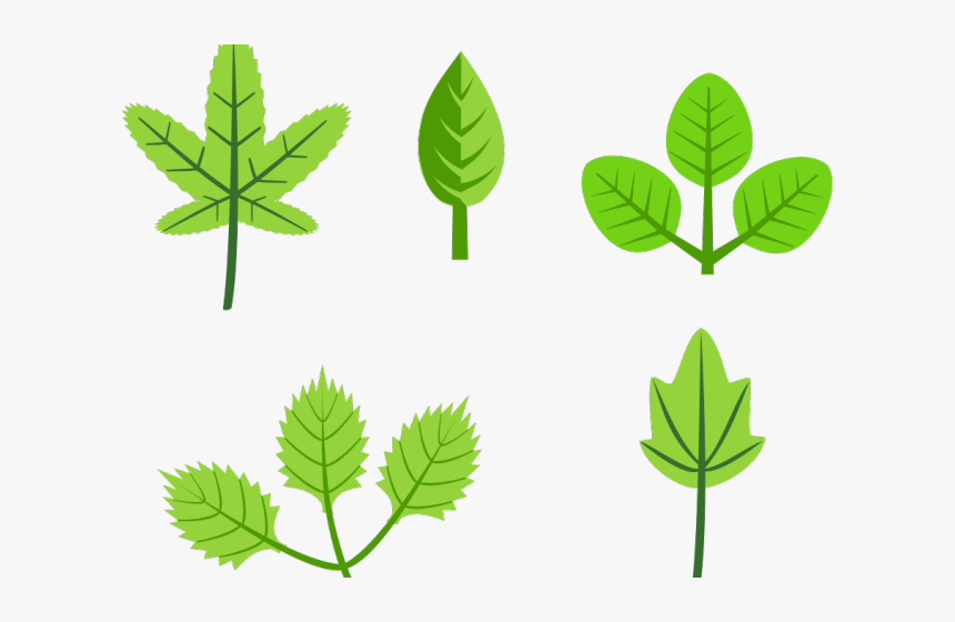 Transparent Spring Is Coming Clipart - Leaves Clip Art, HD Png Download