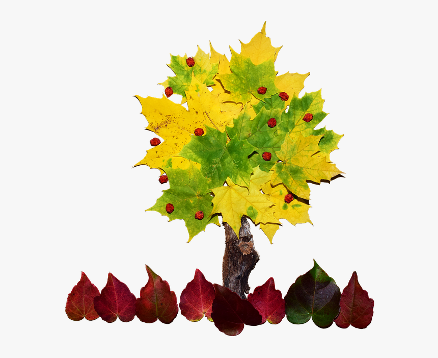 Cool Tree Cliparts 12, Buy Clip Art - Collage De Un Arbol, HD Png Download