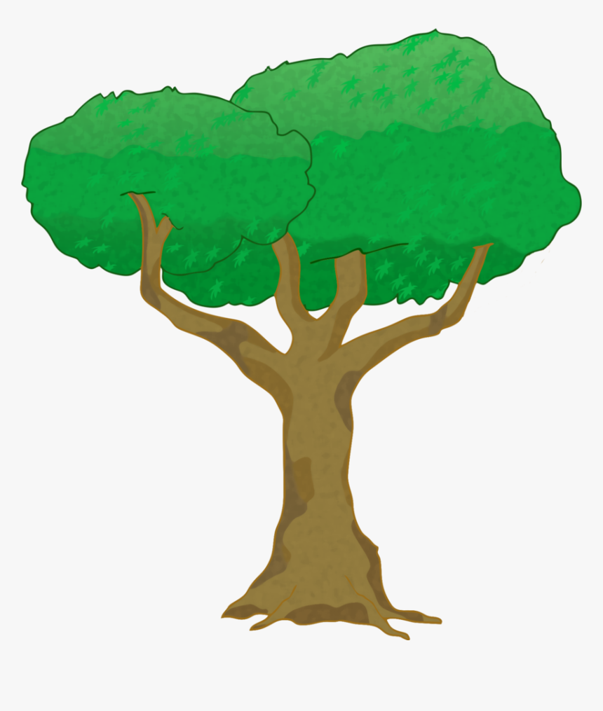 Arbol Png, Transparent Png