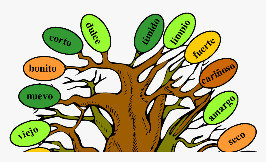 Music And Spanish Fun Tree Of Adjectives - Model Of Adjective Tree, HD Png Download