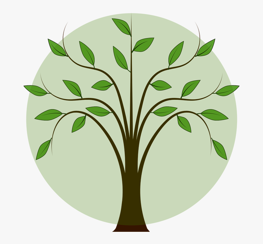 Folhas De Arvore Png - Tree With Leaves Clipart, Transparent Png