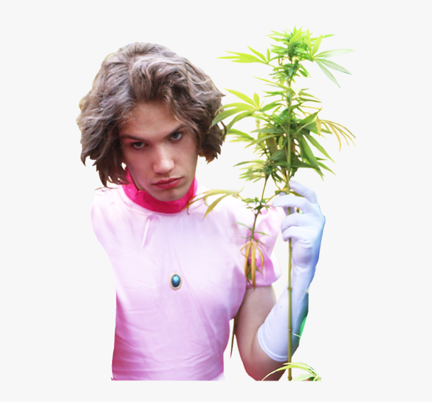 Maxmoefoe Png, Transparent Png