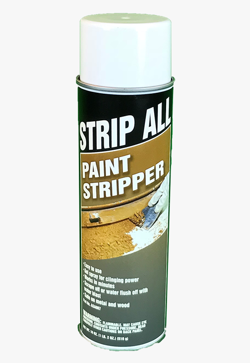 Insect, HD Png Download