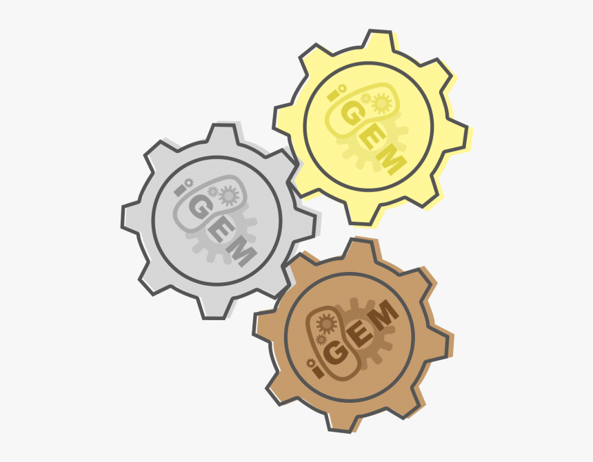 International Genetically Engineered Machine, HD Png Download