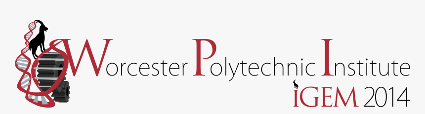 Component Soft Logo, HD Png Download