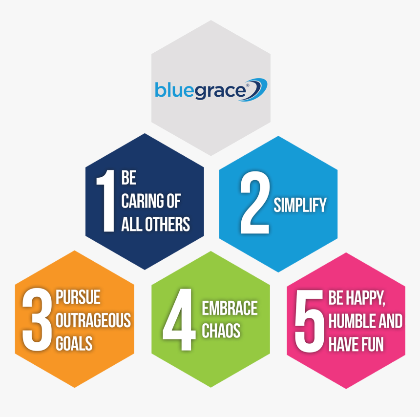 Bluegrace Logistics Core Values, HD Png Download