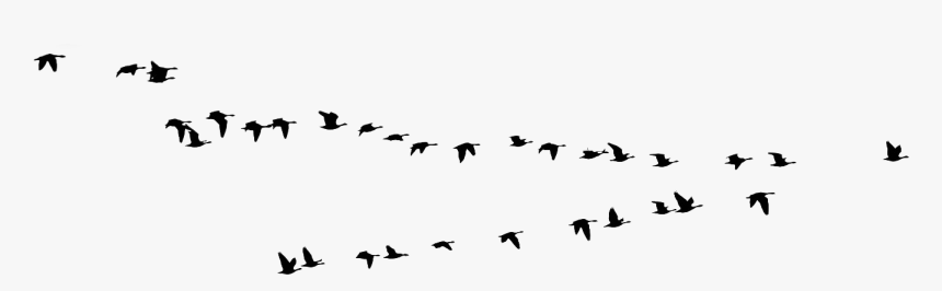 Genuine Leadership By Silke Thomsen, Phd - Birds In Dark Clouds, HD Png Download