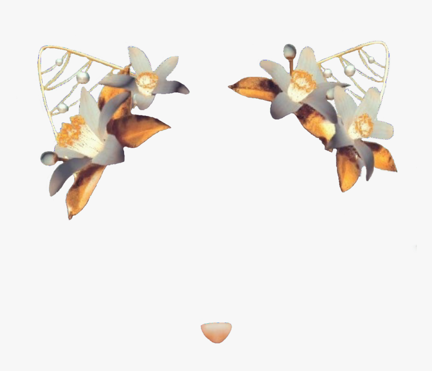 Snapchat Filters Transparent Background, HD Png Download , Transparent