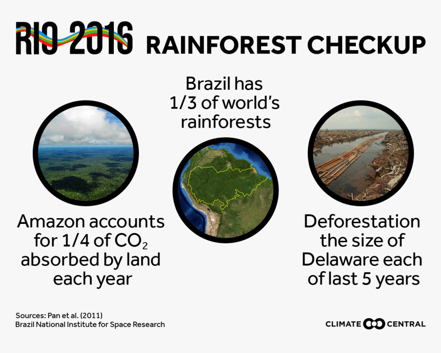 Jpg • Transparent Png - Amazon Rainforest, Png Download