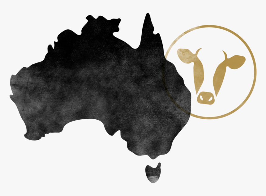 Spatial Distribution Of Deforestation In Australia - Australia House Of Representatives Map, HD Png Download