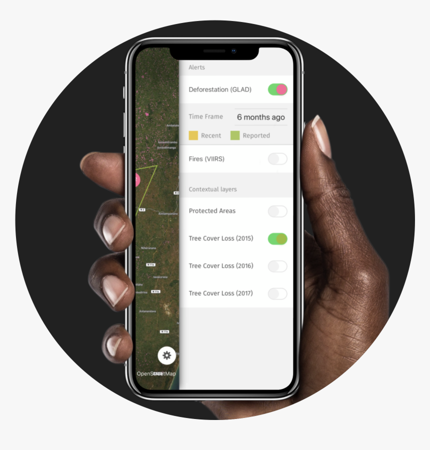 Transparent Deforestation Png - Iphone, Png Download