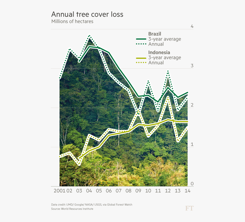 Tree, HD Png Download